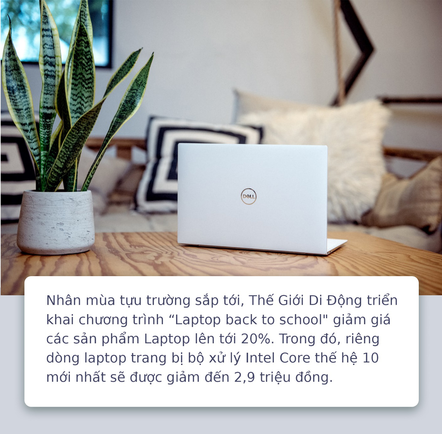 c680befbc49ad2cfbfd7.jpg
