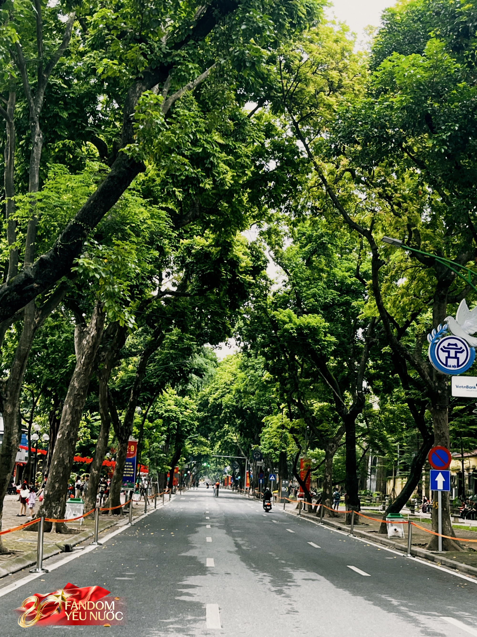 c682ad0262c6163b30ae.jpg