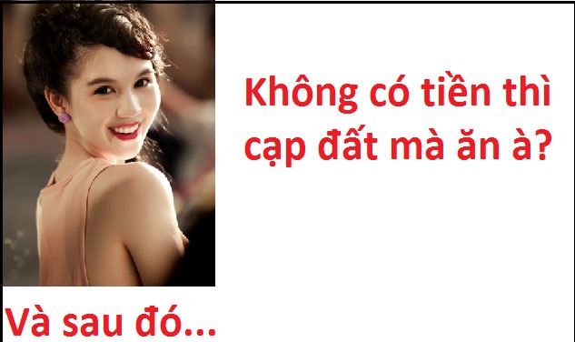c69d1f08fabbccb506c3.jpg