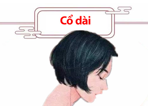 c6e609d654f2ef2aded5.jpg