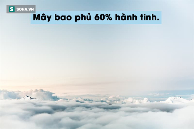 c707980098b049137672.png