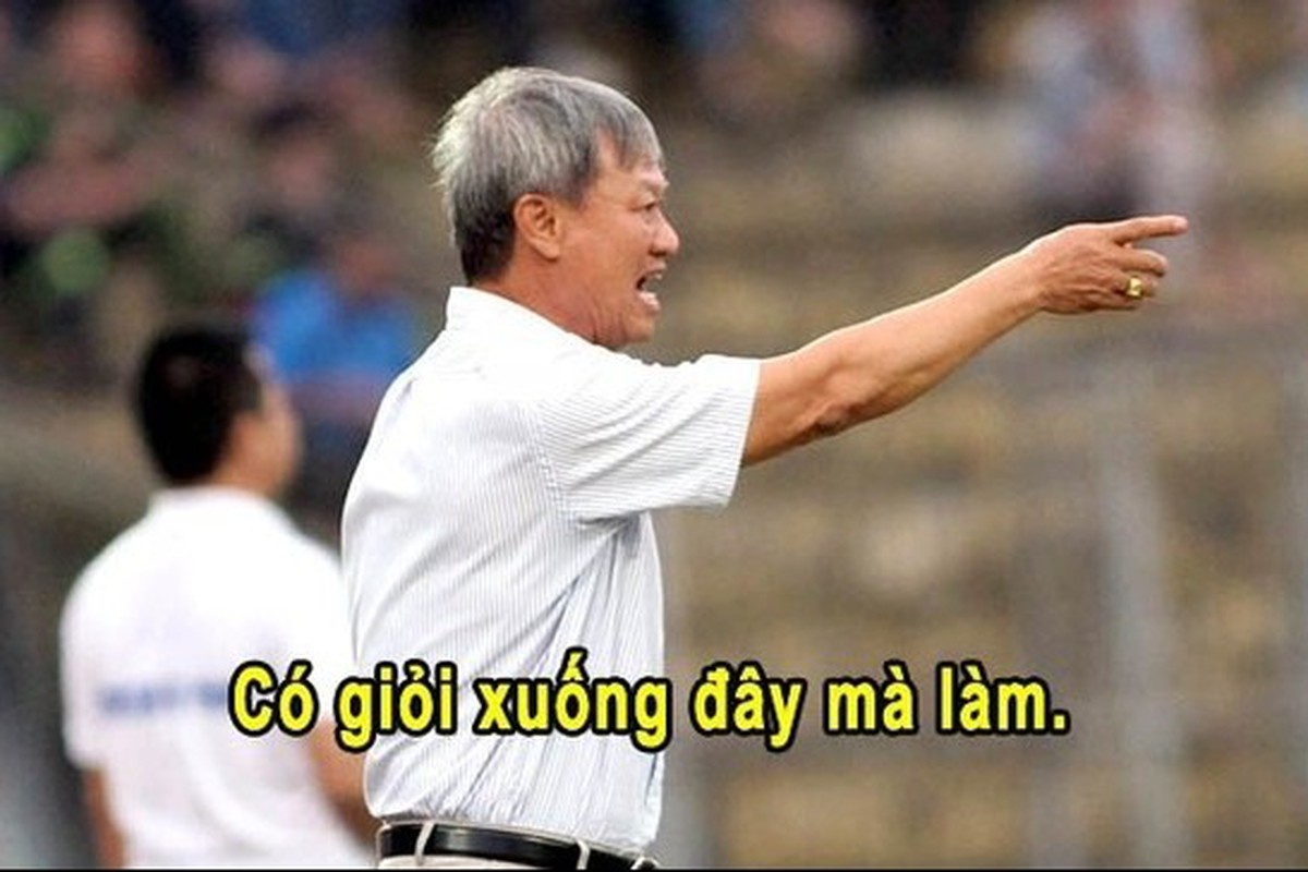 c71f22074dab083949e9.jpg