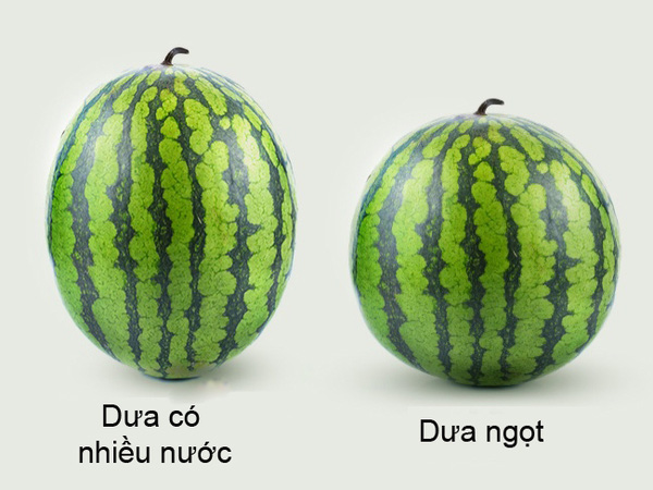 c7545af82849047b905b.jpg