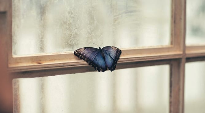 c76534603f9626dee5d7.jpg