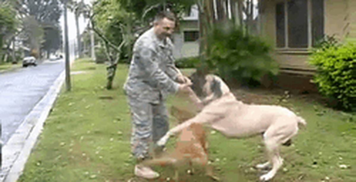 c76b951f2f5975da727c.png