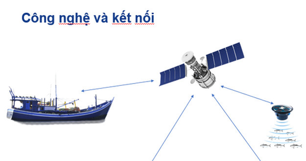 c77ae2b6d7f834a95955.png