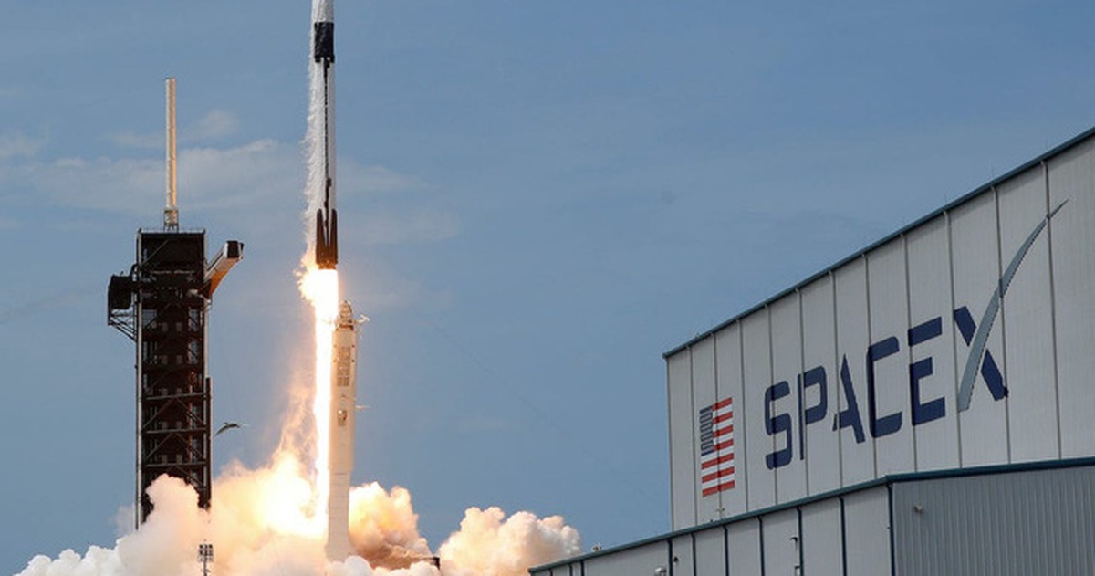 c78afdfd60a3dea9adfd.jpg