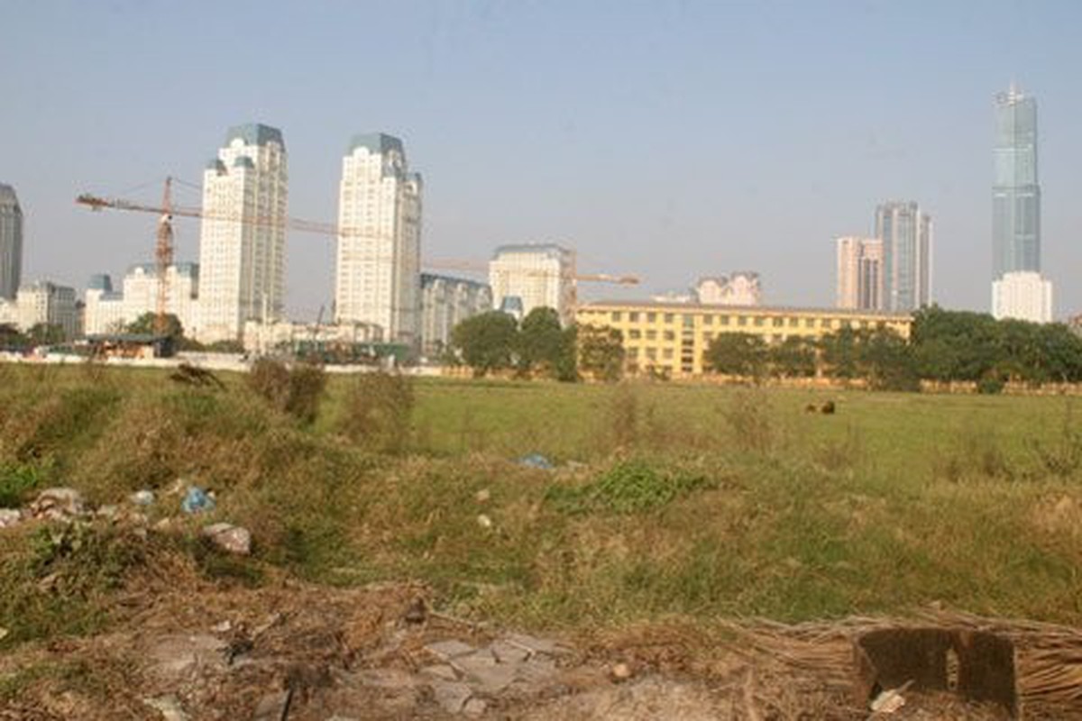 c7a338493ddbfac6a87a.jpg