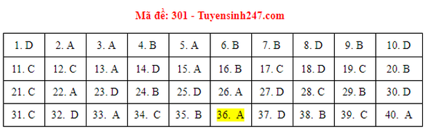 c7bf1640f85233c0cf88.png