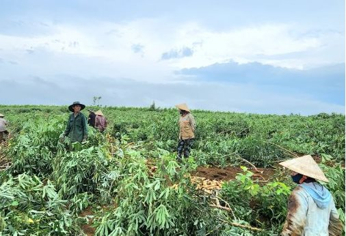 c7c950cff6b3eb38012c.png