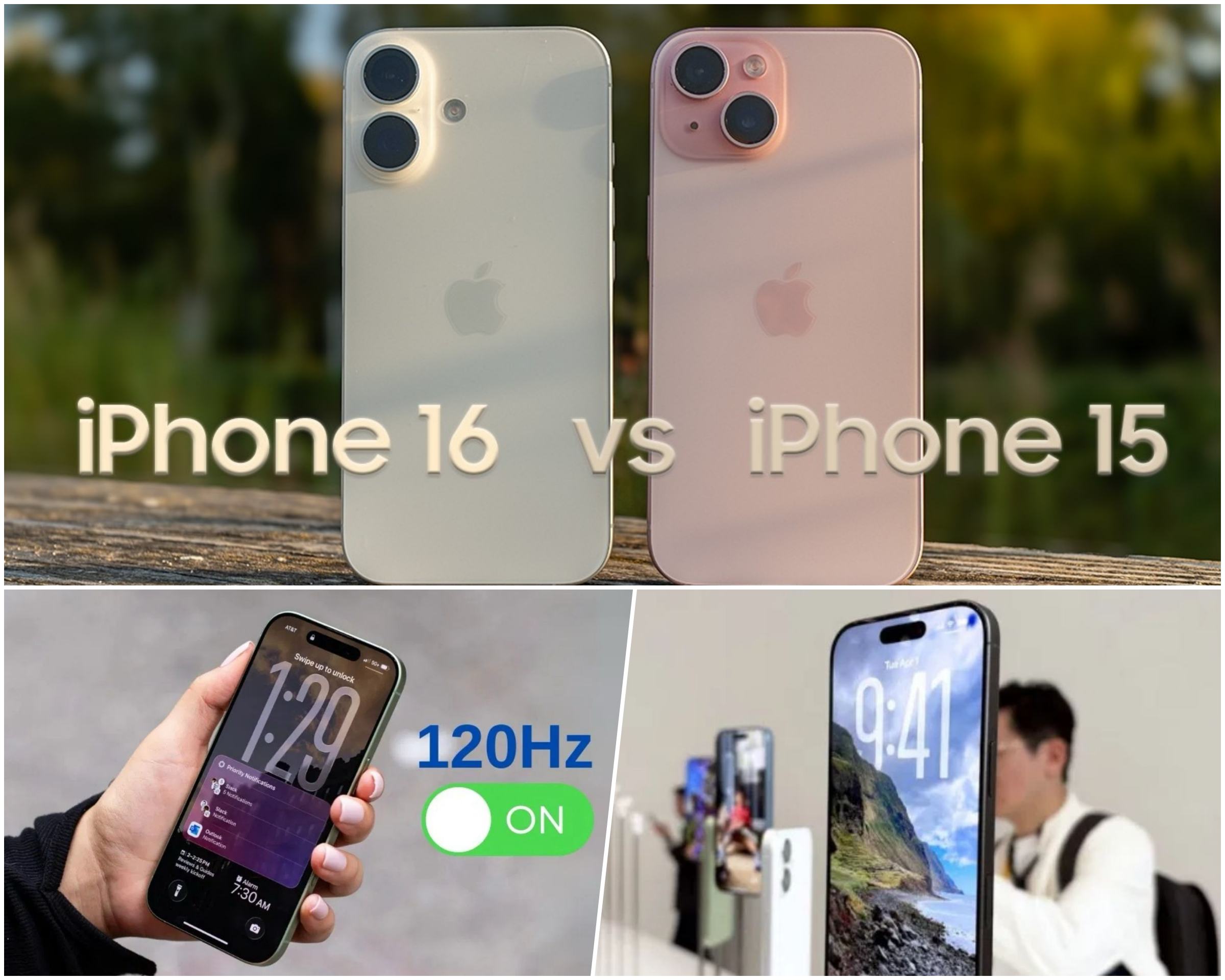 c7f6a5ea8143cda4de1c.jpg