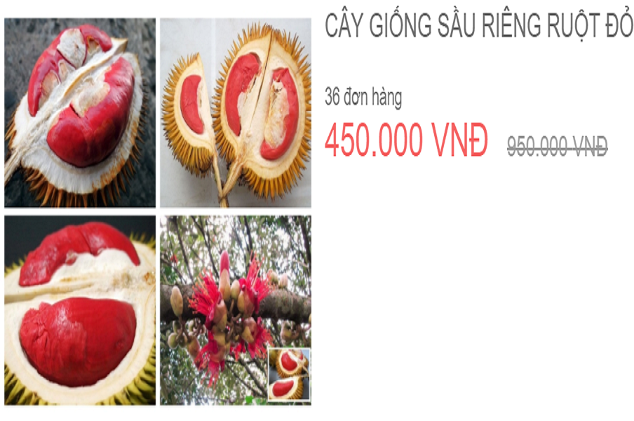 c859288cb0c780d1742e.png