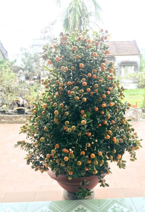 c85d9ca4536273e826e7.jpg