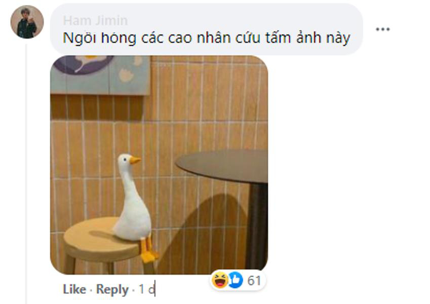c8821fcb41ac5b0cef28.jpg