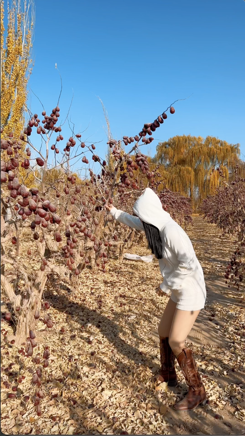 c8901c6d93c7fcbe1b1d.png