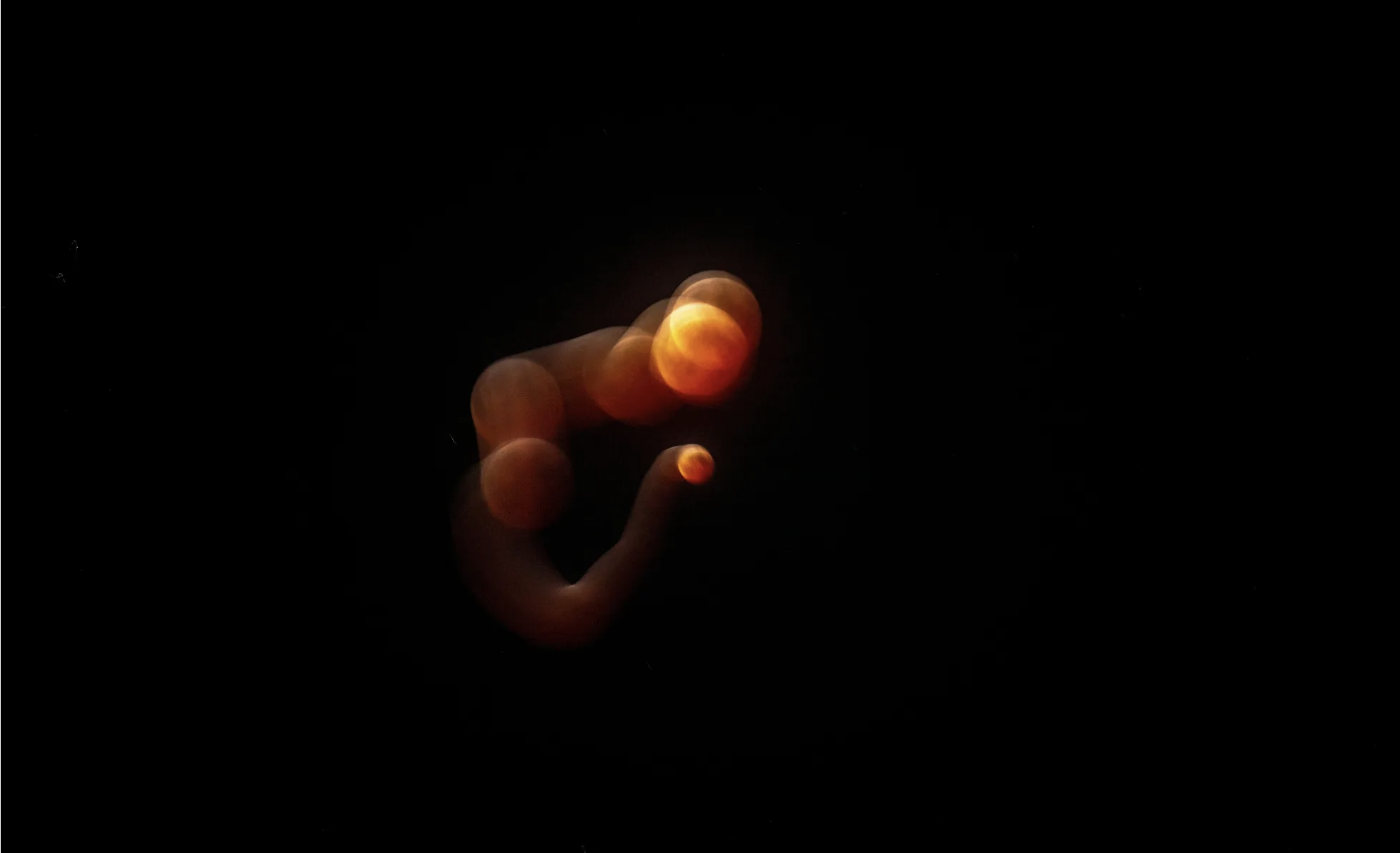 c892b5644b3a8b9d4506.png