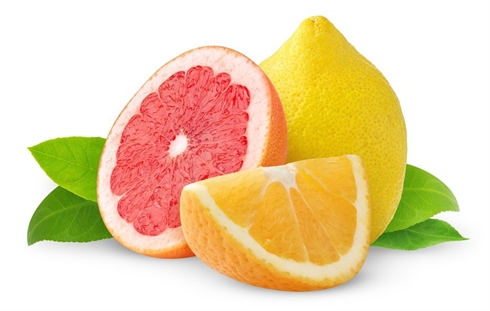 c8c23de1eb592456427b.jpg