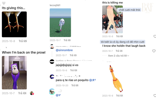c8e289103d7b7d32f87e.png