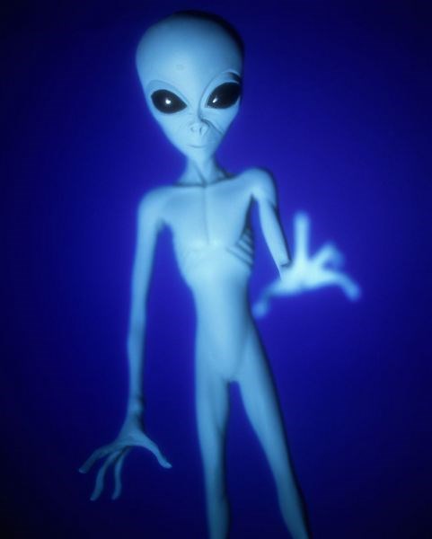 c8f34aa11c7aef8c64e2.jpg