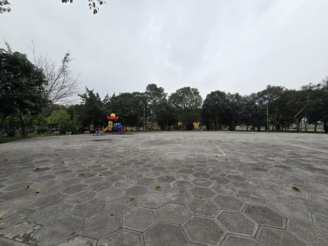 c909377dc29b516aae9c.jpg