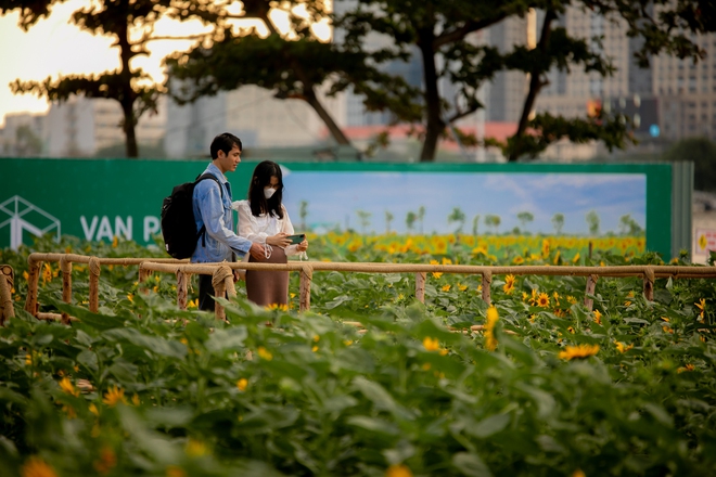 c946629ce08faaba60c4.jpg