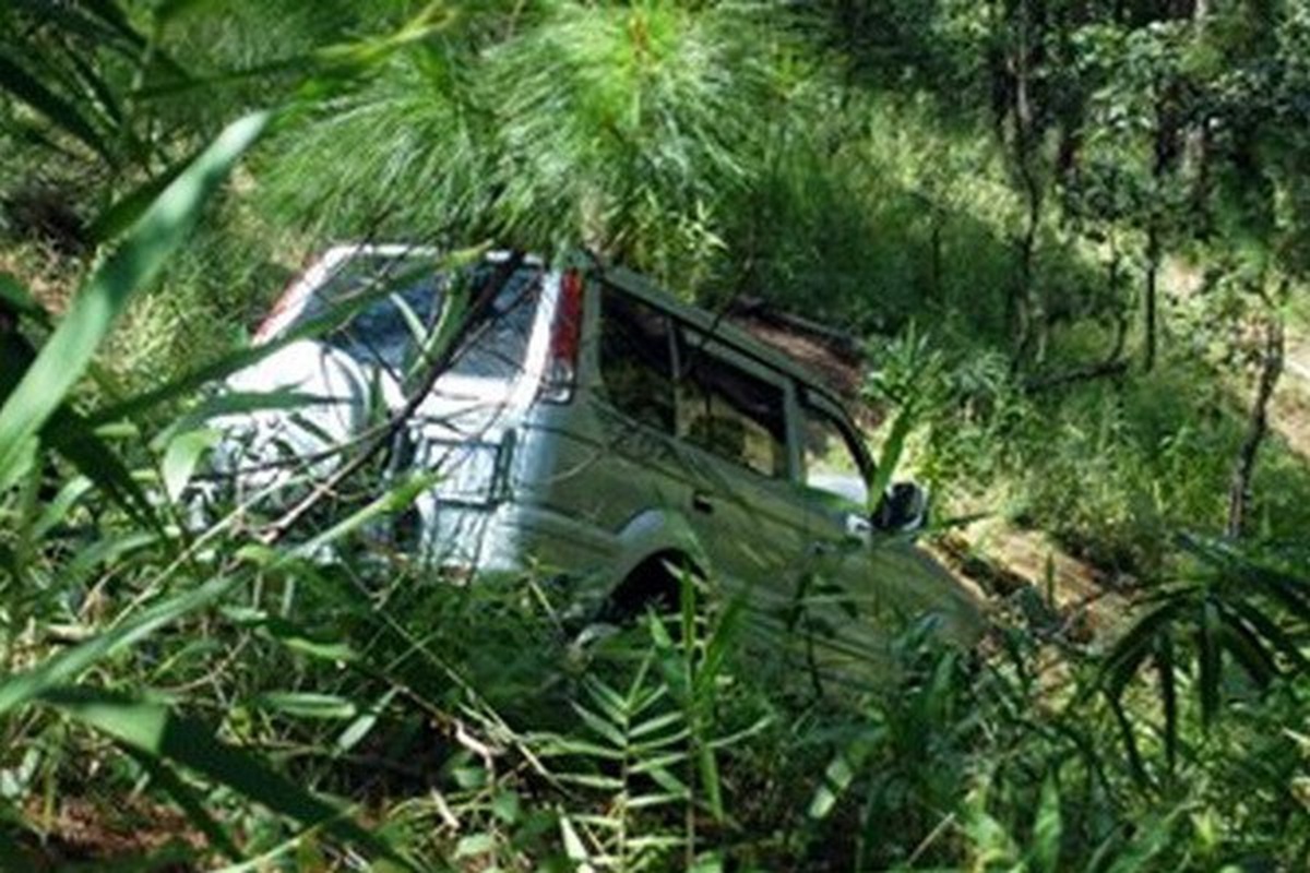 c95975e0c341c017a6fd.jpg