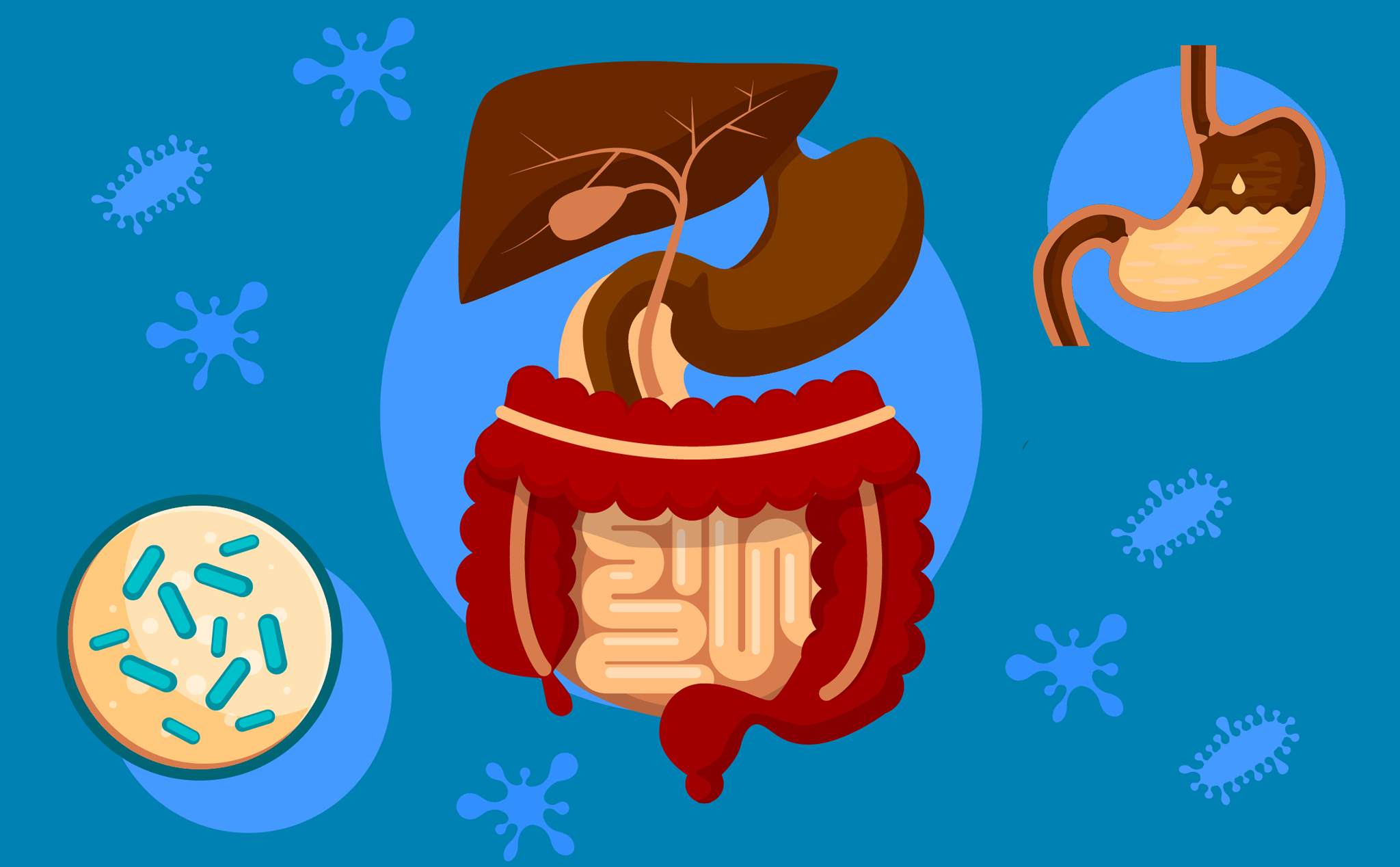 c98770f8c4d6a86e6d2f.png