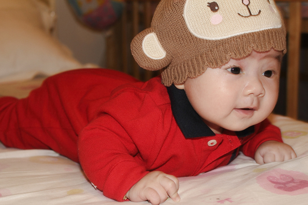 c98ece19685246180a2d.jpg