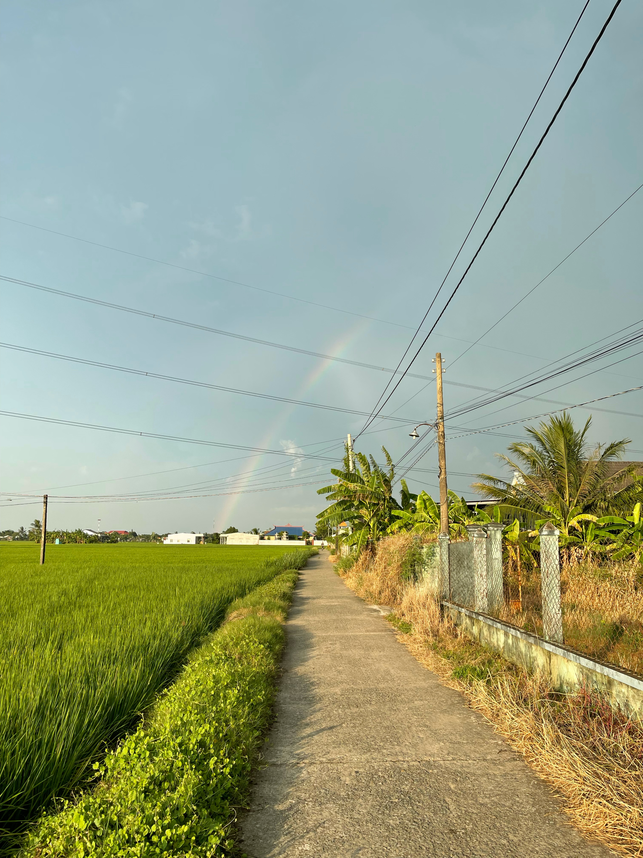 c99356aeab0336686603.jpg