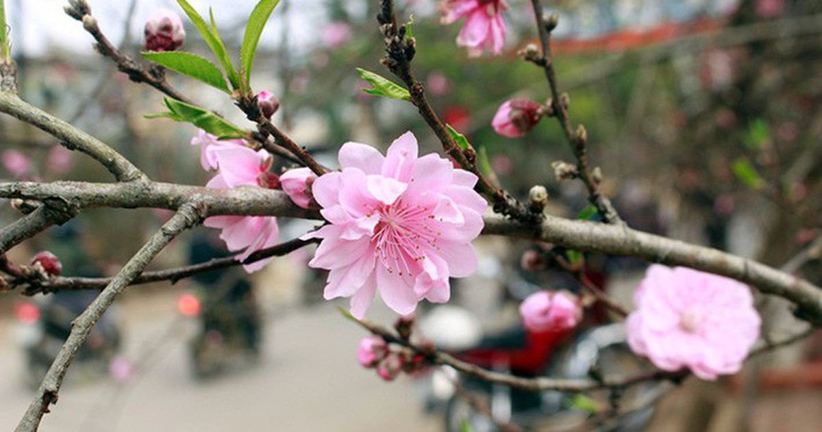c9af9c84610e210df8f6.jpg