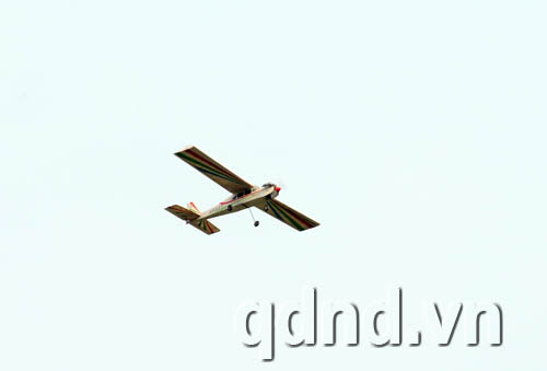 c9cad1d5615747959c0b.jpg