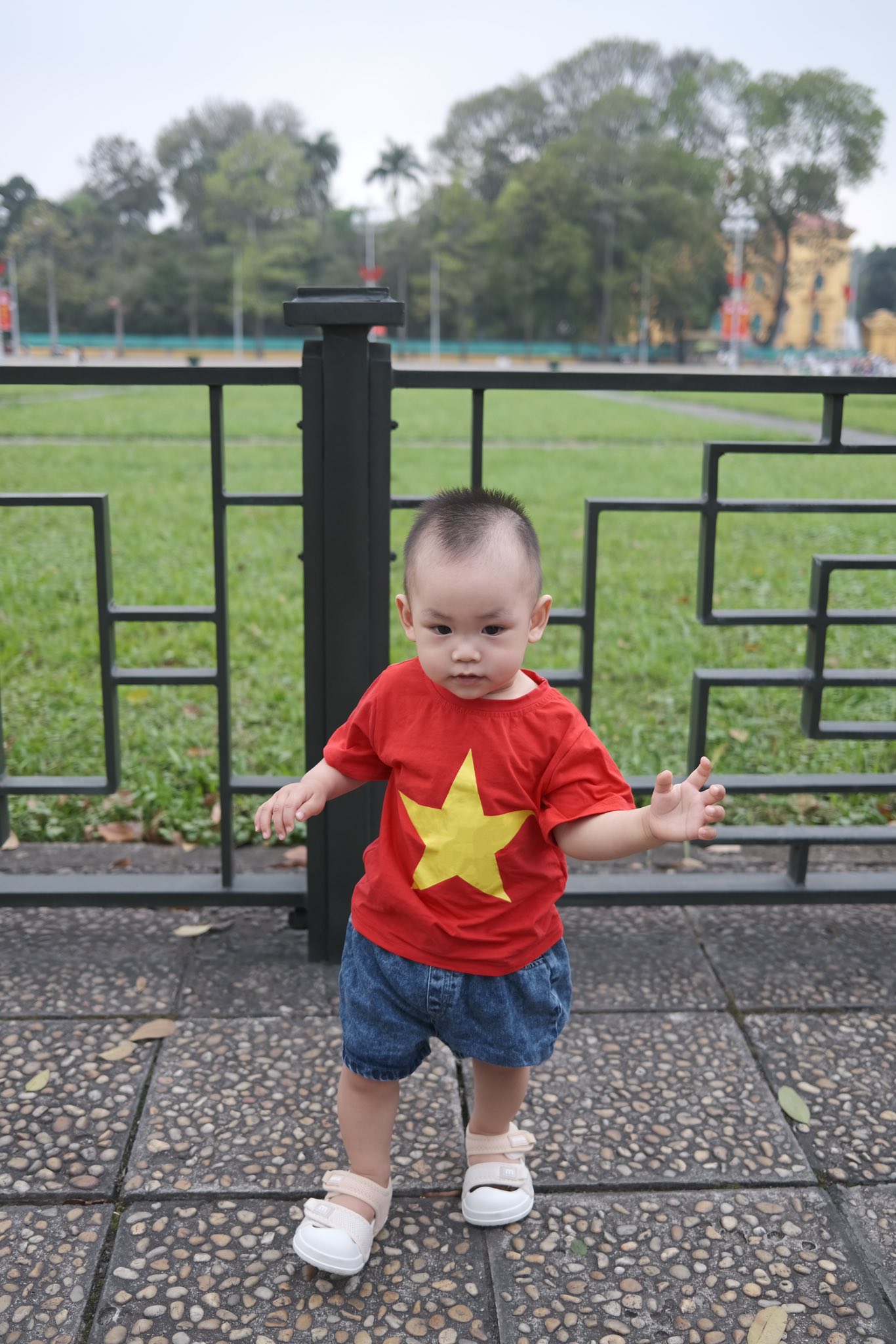 c9d141f6b1032c8a6f69.jpg