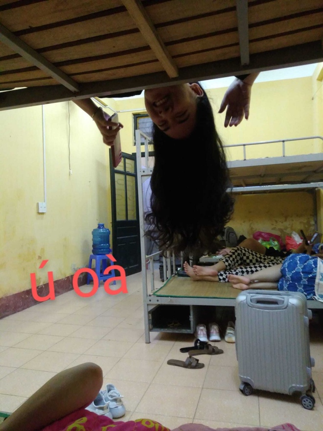 c9d7b4f2030882e3b783.jpg