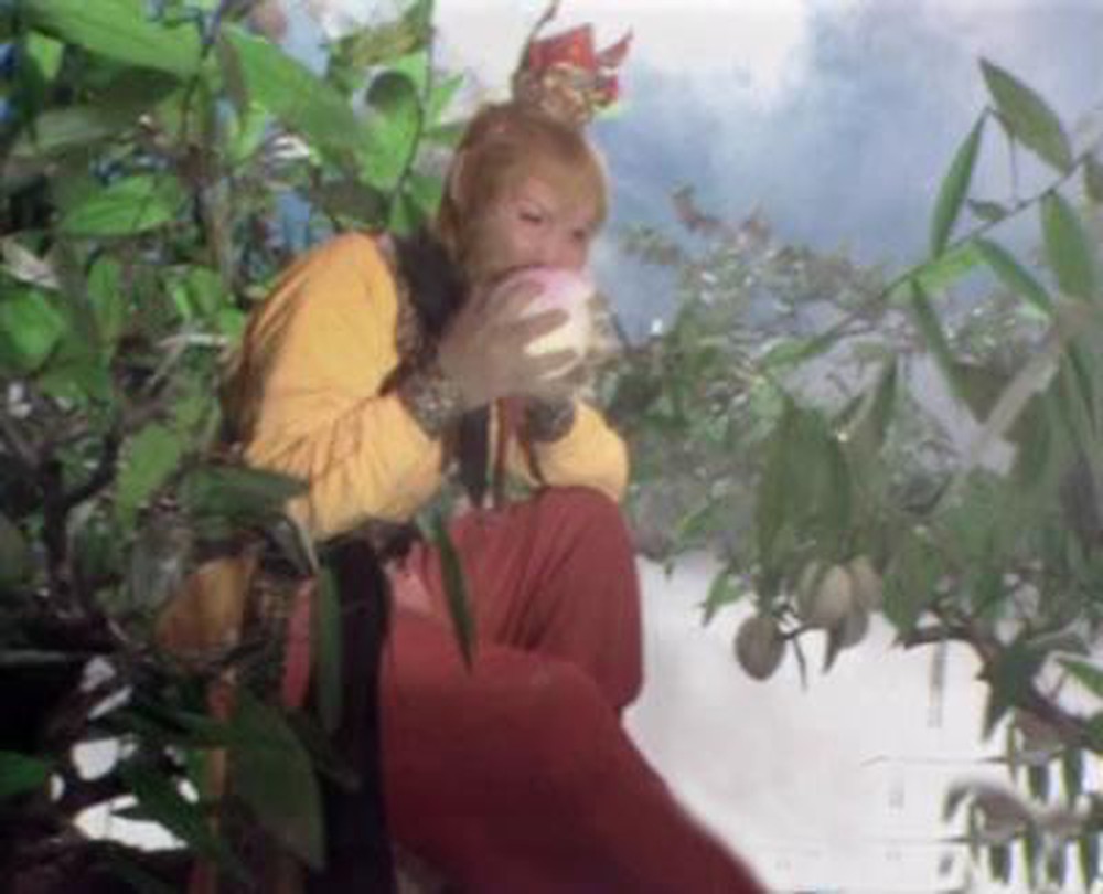ca093d7ed2fce58fceb3.jpg