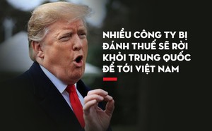 ca3e93a015809a21e79b.jpg