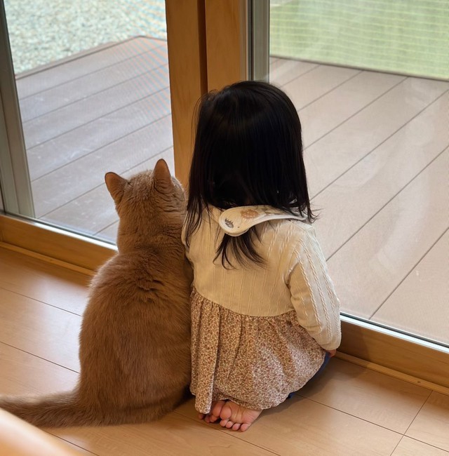 ca7c9081f17607c9daec.jpg