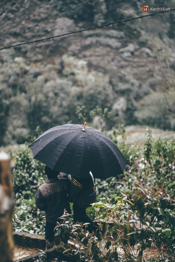 ca8838354df94cedcc80.jpg