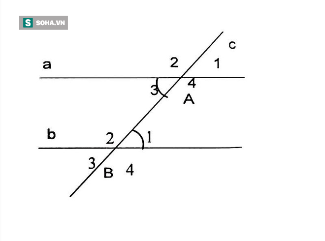 ca90dc5708c21701cddf.png