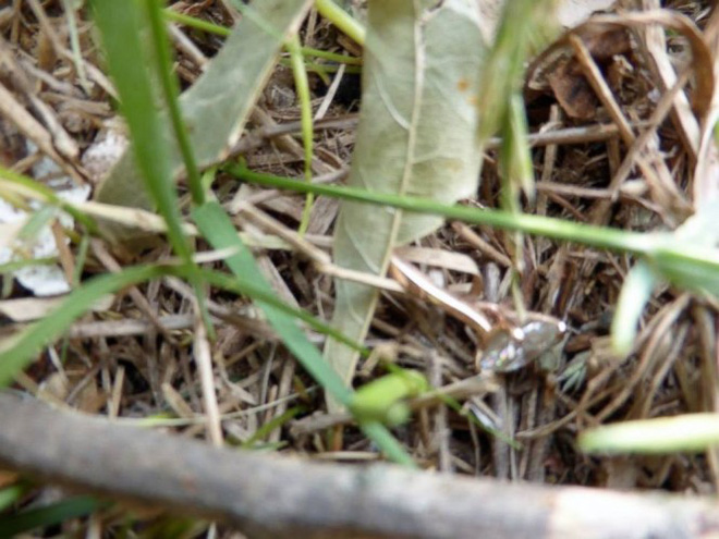 cac844603c6a199c6d45.jpg