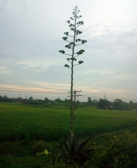 cad5e1d6d4d309fa415b.jpg