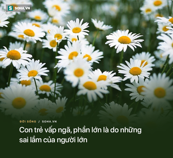 cad6dd944bb5b60dd9cc.png