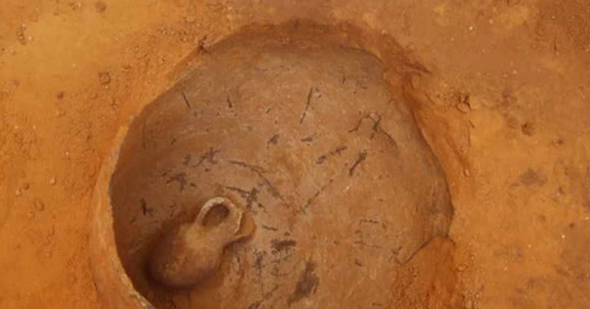 cae72a5ea4e9652257a8.jpg