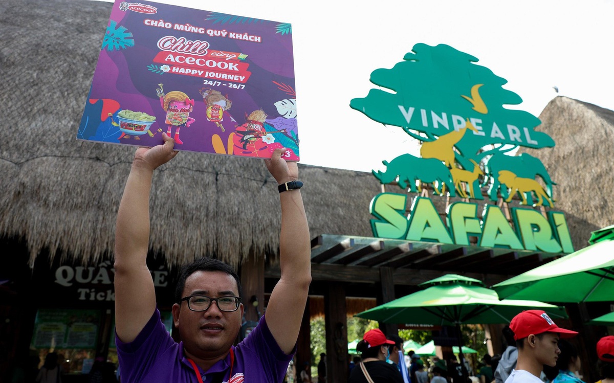 caf8a75bfd29fb097c5a.jpg
