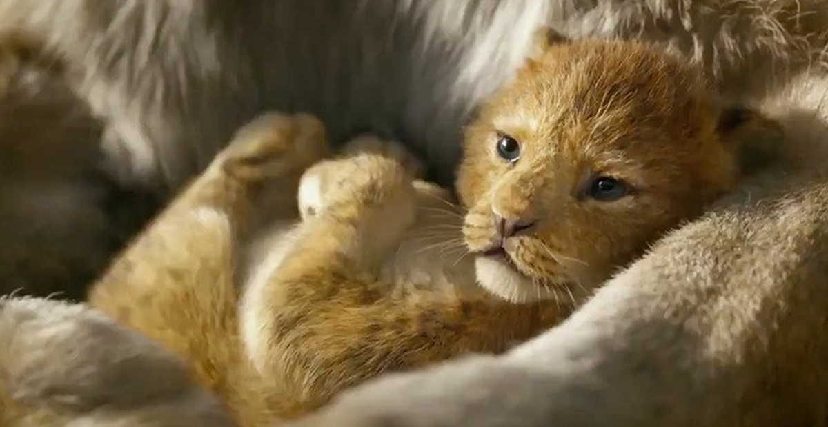 cb2e3b55964424c8b8cf.png