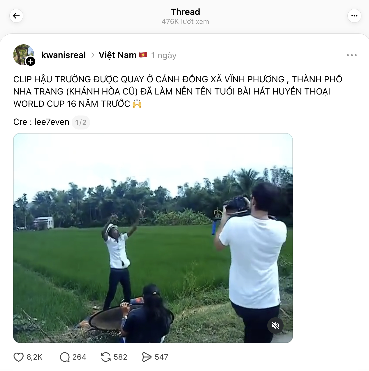 cb3926782833c62c110b.jpg