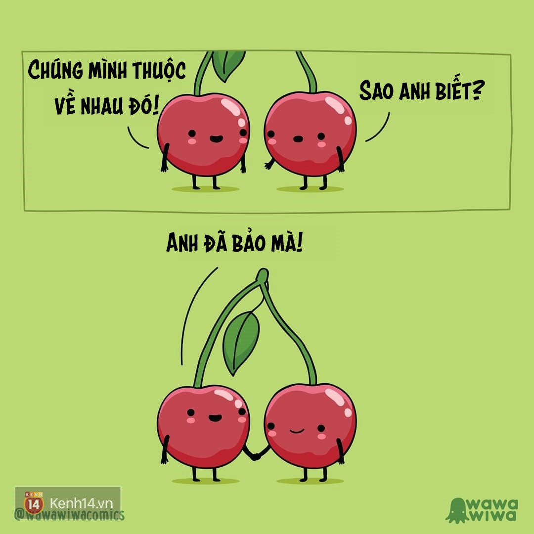 cb46a0e1655bd02ecdc2.jpg