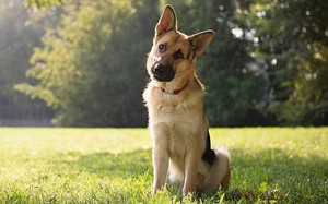 cb70139588bcc4d335f5.jpg