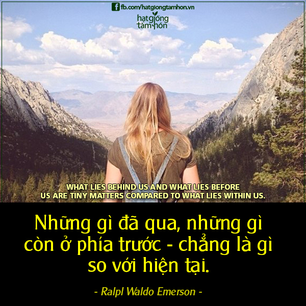 cb766e8a7a56ab43133a.jpg