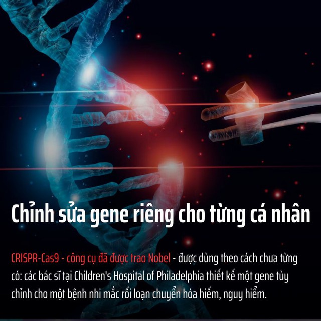 cb800a793b33e4a642f7.jpg