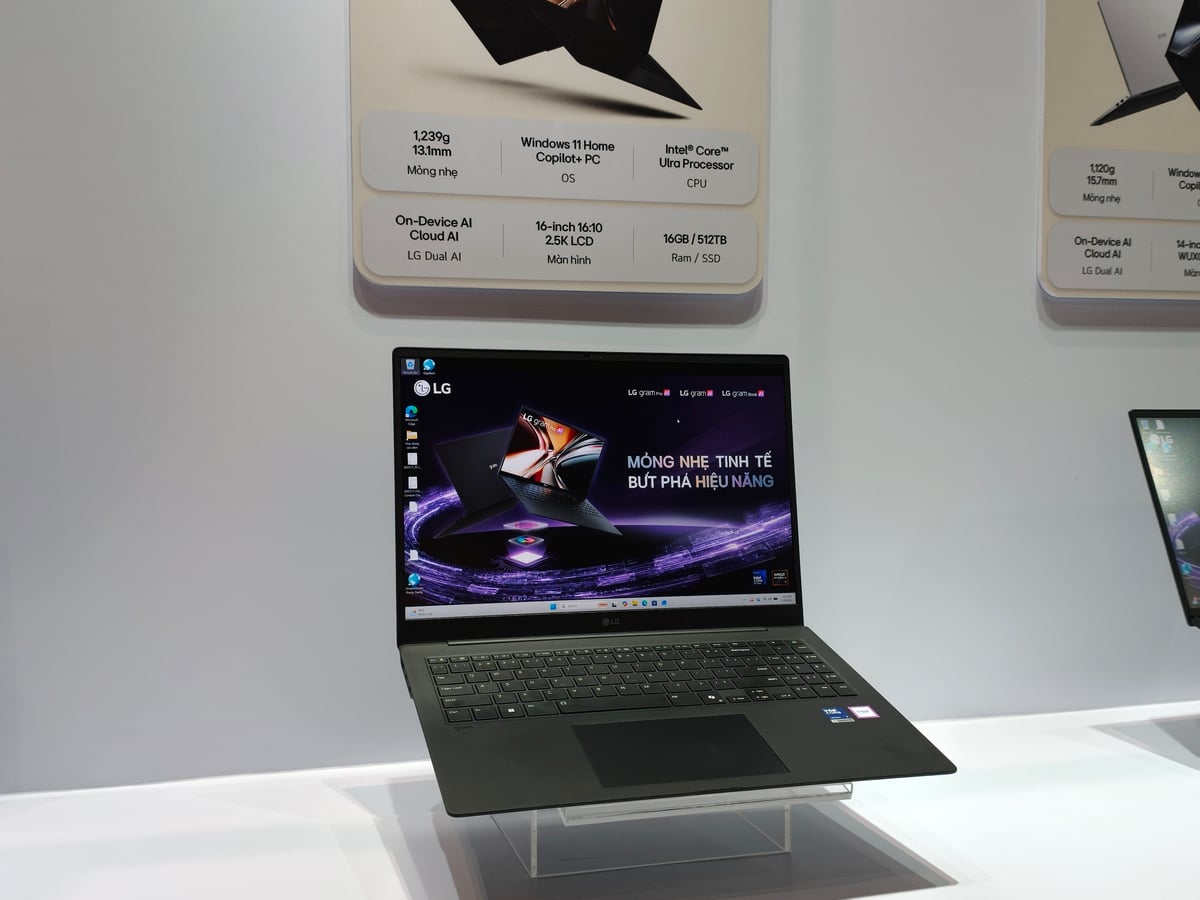 cb82e8a23ce76d387c09.jpg